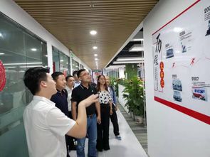 电商赋能新蓝海 苏宁拼购如何助力老年手机企业实现转型腾飞